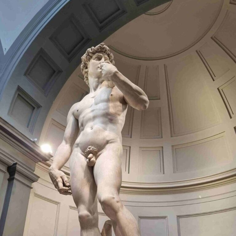El David. Archivo Expertos en Arte FD Magazine, florencia, italia, museo, turismo, viaje, cultura